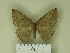  ( - BC-CGCM 1.357)  @13 [ ] Unspecified (default): All Rights Reserved  Unspecified Unspecified