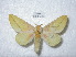  ( - BC-CGCM 10.862)  @11 [ ] Unspecified (default): All Rights Reserved  Unspecified Unspecified
