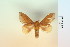  ( - BC-CGCM-10.928)  @11 [ ] Copyright (2010) Unspecified Research Collection of Carlos Mielke