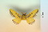  ( - BC-CGCM-10.999)  @13 [ ] Copyright (2010) Unspecified Research Collection of Carlos Mielke