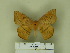  ( - BC-CGCM 11.651)  @13 [ ] Unspecified (default): All Rights Reserved  Unspecified Unspecified