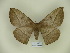  ( - BC-CGCM 11.813)  @14 [ ] Copyright (2010) Unspecified Research Collection of Carlos Mielke