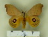  ( - BC-CGCM 11.966)  @14 [ ] Unspecified (default): All Rights Reserved  Unspecified Unspecified