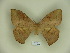  ( - BC-CGCM 11.982)  @11 [ ] Copyright (2010) Unspecified Research Collection of Carlos Mielke