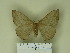  ( - BC-CGCM 12.618)  @14 [ ] Unspecified (default): All Rights Reserved  Unspecified Unspecified