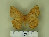  ( - BC-CGCM 12.883)  @13 [ ] Unspecified (default): All Rights Reserved  Unspecified Unspecified