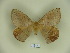  ( - BC-CGCM 13.218)  @11 [ ] Copyright (2010) Unspecified Research Collection of Carlos Mielke