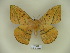  ( - BC-CGCM 19.095)  @14 [ ] Copyright (2010) Unspecified Research Collection of Carlos Mielke