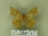  ( - BC-CGCM 19.111)  @13 [ ] Unspecified (default): All Rights Reserved  Unspecified Unspecified