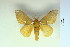  ( - BC-CGCM-19.240)  @13 [ ] Copyright (2010) Unspecified Research Collection of Carlos Mielke