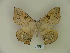  ( - BC-CGCM 19.251)  @13 [ ] Copyright (2010) Unspecified Research Collection of Carlos Mielke