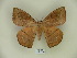  ( - BC-CGCM 19.523)  @13 [ ] Copyright (2010) Unspecified Research Collection of Carlos Mielke