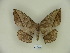  ( - BC-CGCM 19.784)  @14 [ ] Copyright (2010) Unspecified Research Collection of Carlos Mielke