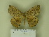  ( - BC-CGCM 19.944)  @14 [ ] Unspecified (default): All Rights Reserved  Unspecified Unspecified