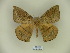  ( - BC-CGCM 19.992)  @14 [ ] Copyright (2010) Unspecified Research Collection of Carlos Mielke
