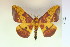  ( - BC-CGCM-21.036)  @13 [ ] Copyright (2010) Unspecified Research Collection of Carlos Mielke