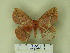  ( - BC-CGCM 21.404)  @13 [ ] Unspecified (default): All Rights Reserved  Unspecified Unspecified