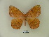  (Periga intervales - BC-CGCM 21.540)  @14 [ ] Copyright (2010) Unspecified Research Collection of Carlos Mielke