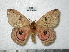  ( - BC-CGCM 21.554)  @14 [ ] Unspecified (default): All Rights Reserved  Unspecified Unspecified