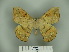  ( - BC-CGCM 22.549)  @14 [ ] Copyright (2010) Unspecified Research Collection of Carlos Mielke