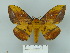 ( - BC-CGCM 22.790)  @14 [ ] Unspecified (default): All Rights Reserved  Unspecified Unspecified