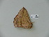  ( - BC-CGCM 23.256)  @13 [ ] Copyright (2010) Unspecified Research Collection of Carlos Mielke