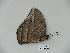  ( - BC-CGCM 23.334)  @13 [ ] Copyright (2010) Unspecified Research Collection of Carlos Mielke