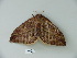  ( - BC-CGCM 23.351)  @12 [ ] Copyright (2010) Unspecified Research Collection of Carlos Mielke