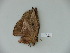  ( - BC-CGCM 23.430)  @12 [ ] Copyright (2010) Unspecified Research Collection of Carlos Mielke
