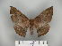  ( - BC-CGCM 23.457)  @13 [ ] Copyright (2010) Unspecified Research Collection of Carlos Mielke