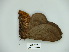  ( - BC-CGCM 23.459)  @13 [ ] Copyright (2010) Unspecified Research Collection of Carlos Mielke