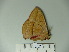 ( - BC-CGCM 23.554)  @12 [ ] Copyright (2010) Unspecified Research Collection of Carlos Mielke