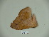  ( - BC-CGCM 23.556)  @12 [ ] Copyright (2010) Unspecified Research Collection of Carlos Mielke