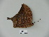  ( - BC-CGCM 23.574)  @12 [ ] Copyright (2010) Unspecified Research Collection of Carlos Mielke
