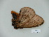  ( - BC-CGCM 23.622)  @12 [ ] Copyright (2010) Unspecified Research Collection of Carlos Mielke