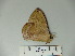  ( - BC-DZ 15.790)  @12 [ ] Copyright (2010) Unspecified Research Collection of Carlos Mielke