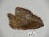  ( - BC-CGCM 23.781)  @12 [ ] Copyright (2010) Unspecified Research Collection of Carlos Mielke