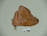  ( - BC-CGCM 23.796)  @12 [ ] Copyright (2010) Unspecified Research Collection of Carlos Mielke