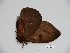  ( - BC-CGCM 23.848)  @12 [ ] Copyright (2010) Unspecified Research Collection of Carlos Mielke