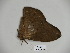  ( - BC-CGCM 23.877)  @12 [ ] Copyright (2010) Unspecified Research Collection of Carlos Mielke
