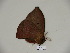  ( - BC-CGCM 23.896)  @12 [ ] Copyright (2010) Unspecified Research Collection of Carlos Mielke