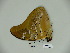  ( - BC-CGCM 23.976)  @13 [ ] Copyright (2010) Unspecified Research Collection of Carlos Mielke
