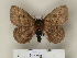  ( - BC-CGCM 24.040)  @13 [ ] Unspecified (default): All Rights Reserved  Unspecified Unspecified