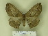  ( - BC-CGCM 24.506)  @13 [ ] Unspecified (default): All Rights Reserved  Unspecified Unspecified