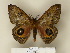  ( - BC-CGCM 24.540)  @14 [ ] Unspecified (default): All Rights Reserved  Unspecified Unspecified