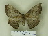  ( - BC-CGCM 24.601)  @14 [ ] Unspecified (default): All Rights Reserved  Unspecified Unspecified