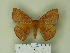  ( - BC-CGCM 24.616)  @12 [ ] Unspecified (default): All Rights Reserved  Unspecified Unspecified