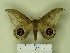  ( - BC-CGCM 24.764)  @13 [ ] Unspecified (default): All Rights Reserved  Unspecified Unspecified