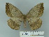  ( - BC-CGCM 24.970)  @13 [ ] Unspecified (default): All Rights Reserved  Unspecified Unspecified