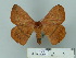  ( - BC-CGCM 25.019)  @12 [ ] Unspecified (default): All Rights Reserved  Unspecified Unspecified